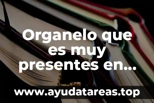 Organelo que es muy presentes en plantas verdes