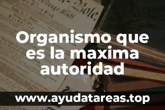 Que es autoridad y sus tipos 7 Organismo que es la maxima autoridad