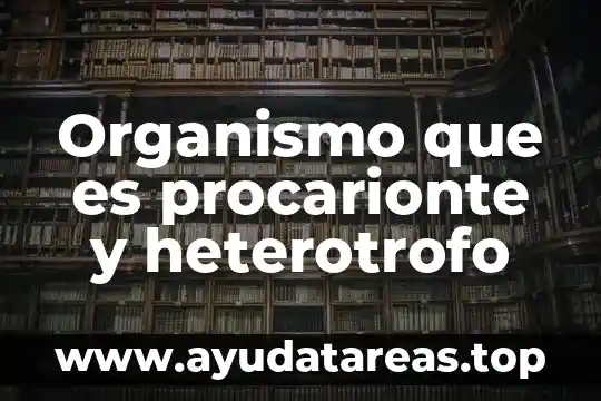 Que es el limite de estudio en la tesis 3 Organismo que es procarionte y heterotrofo