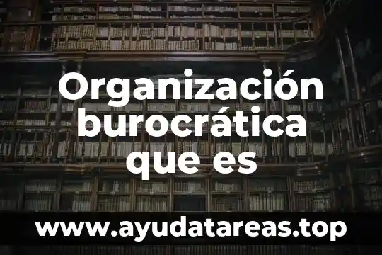 Qué es un animal de selva 7 Organización burocrática que es