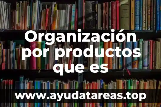 Que es distribucion y organizacion 4 Organización por productos que es