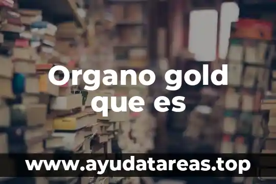 Qué es HDMI concepto general 3 Organo gold que es