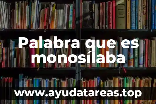 Que es la obesidad i que significa la palabra obesidad 6 Palabra que es monosílaba