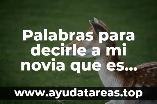 Que es ser mandil贸n con tu novia 3 Palabras para decirle a mi novia que es perfecta