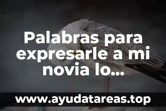 Que es ser mandil贸n con tu novia 5 Palabras para expresarle a mi novia lo hermosa que es