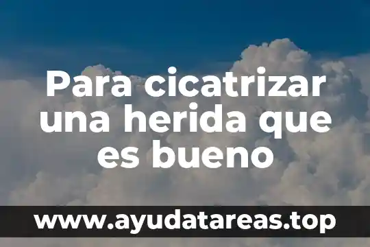 Para que es bueno la planta de romero 3 Para cicatrizar una herida que es bueno