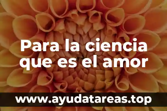 Que es o que significa un tratado de amor 3 Para la ciencia que es el amor