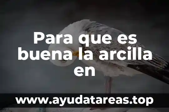 Los chicos del barrio por que es buena 8 Para que es buena la arcilla en