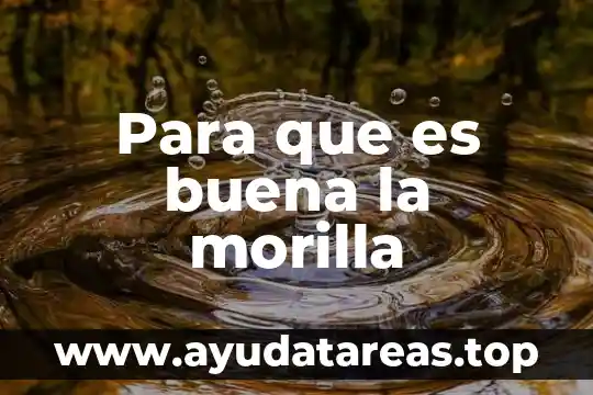 Para que es buena la quina roja 3 Para que es buena la morilla