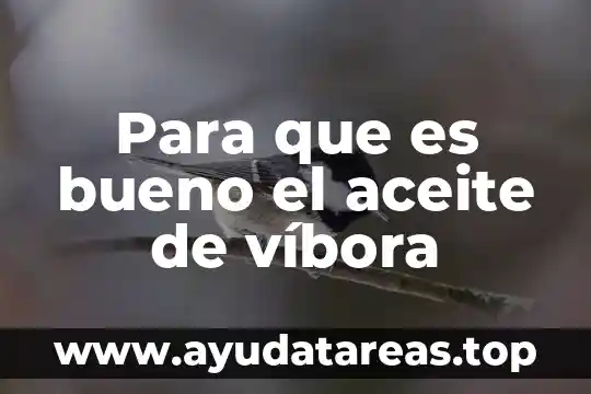 Que es bueno para las arañas vasculares 3 Para que es bueno el aceite de víbora