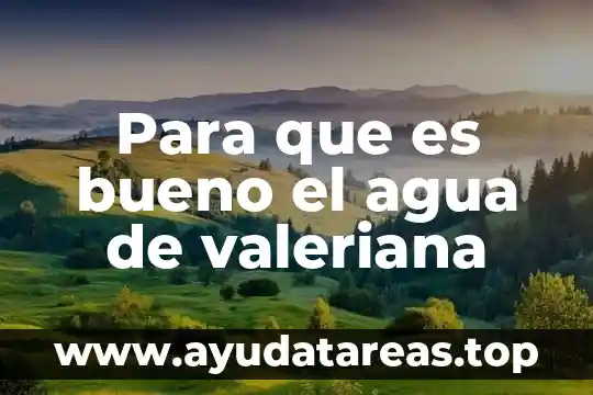 Para que es bueno tomar clorofila 5 Para que es bueno el agua de valeriana