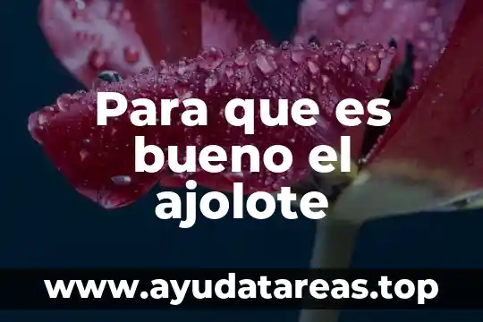 Que es una ley formal 5 Para que es bueno el ajolote