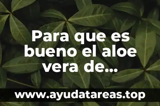 Aloe vera mas pasta de dientes para que es útil 5 Para que es bueno el aloe vera de herbalife