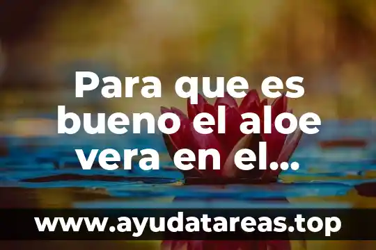 Aloe vera mas pasta de dientes para que es útil 4 Para que es bueno el aloe vera en el cabello