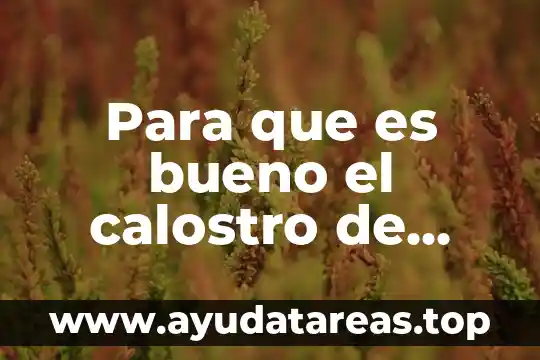 Que es bueno para el insomnio en los niños 3 Para que es bueno el calostro de vaca