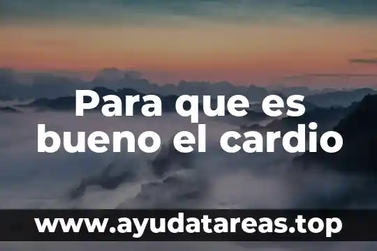 Que es bueno para las arañas vasculares 7 Para que es bueno el cardio