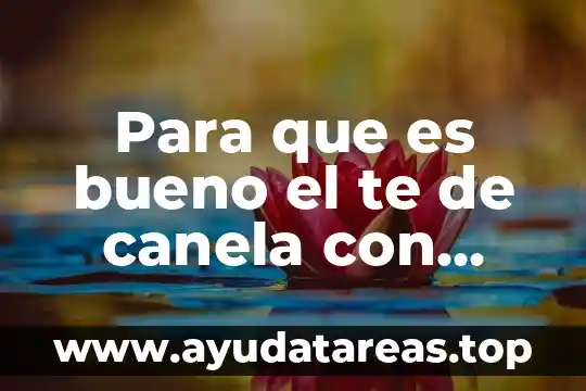 Por que es bueno ser un buen alumno 3 Para que es bueno el te de canela con cedron
