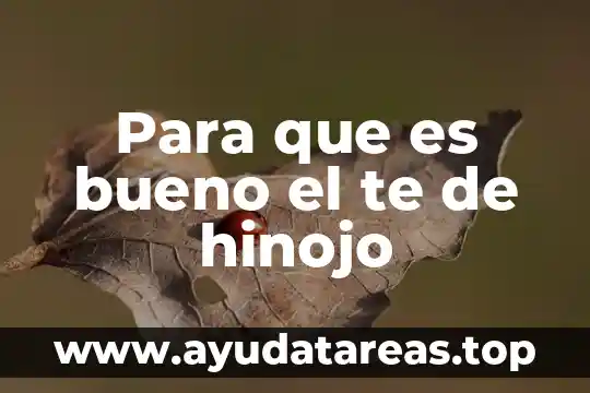 Ajo japonés para que es bueno 7 Para que es bueno el te de hinojo