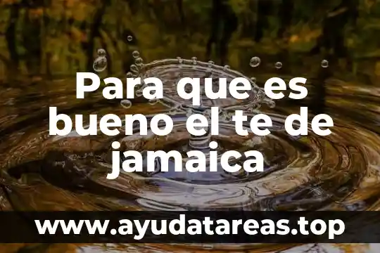 Para que es bueno el te de jamaica