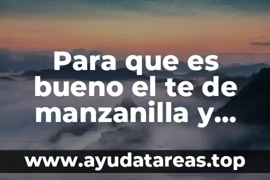 Que es tecnologia tesis 3 Para que es bueno el te de manzanilla y canela