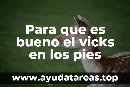 Que es bueno para lo quemado por el sol 7 Para que es bueno el vicks en los pies