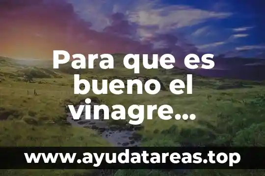 Para que es bueno el vinagre organico de manzana