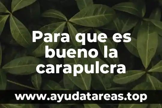 Que es bueno para quemaduras por el sol 3 Para que es bueno la carapulcra