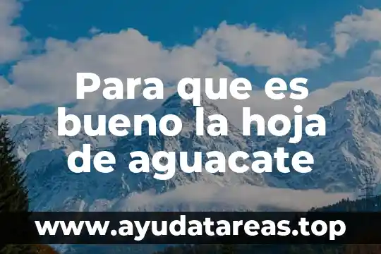 Para que es bueno la hoja de aguacate