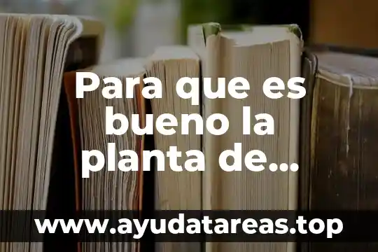 Para cicatrizar una herida que es bueno 6 Para que es bueno la planta de romero