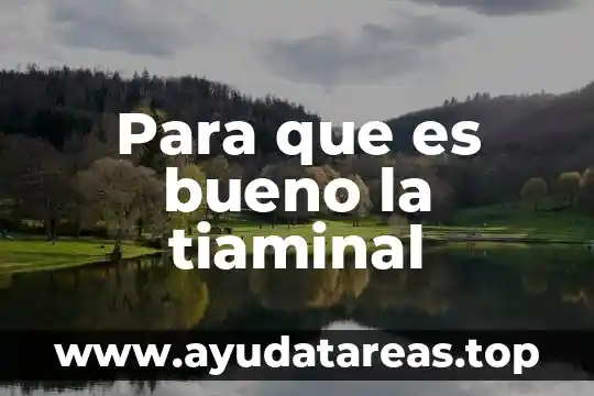Que es bueno para las infecciones vaginales 6 Para que es bueno la tiaminal