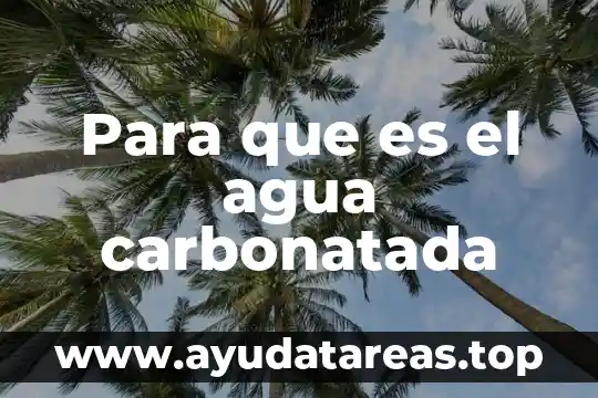 Por que es importante ver agua suficiente 5 Para que es el agua carbonatada