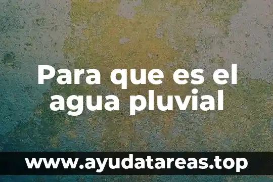 Para que es el agua de perejil 6 Para que es el agua pluvial