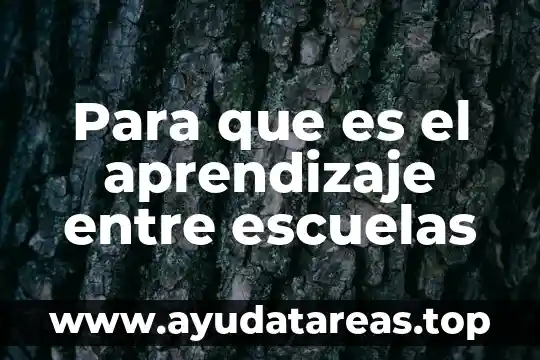 Para que es el aprendizaje entre escuelas