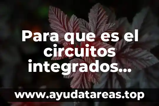 Para que es el circuitos integrados 7447 y 7448