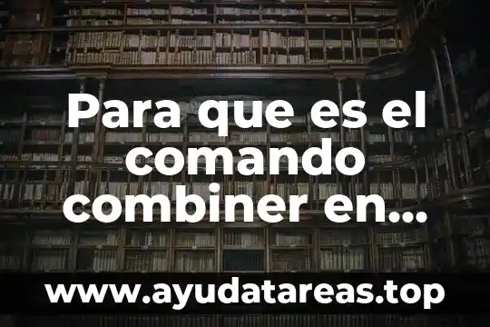 Que es sueño en resumen 6 Para que es el comando combiner en flexsim
