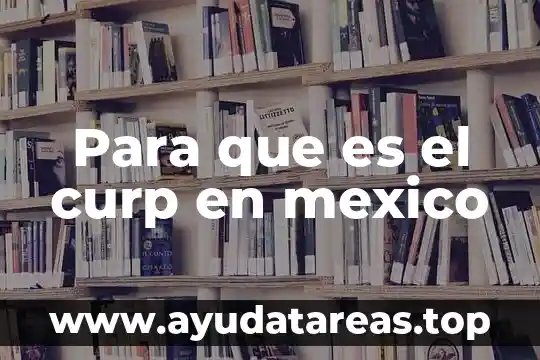 Que es codigo de verificacion para sacar curp 6 Para que es el curp en mexico
