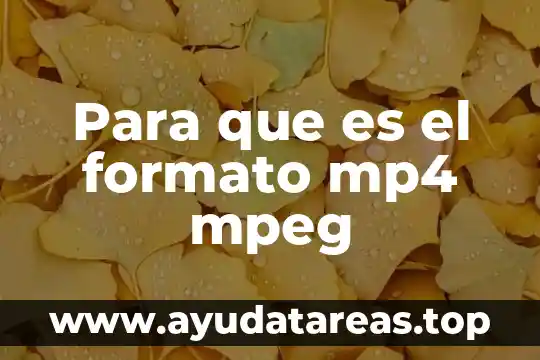Qué es la navegador y su concepto 8 Para que es el formato mp4 mpeg