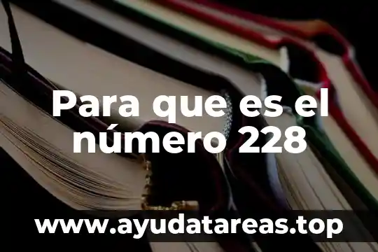 Número DS 160 que es 7 Para que es el número 228