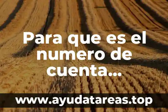 Qué es el número de cuenta bancaria IBAN 4 Para que es el numero de cuenta bancaria