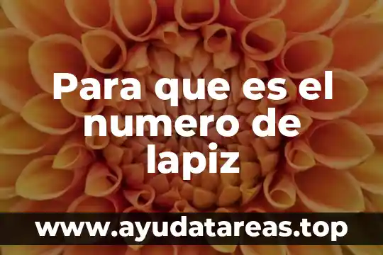 Qué es un número del money order 3 Para que es el numero de lapiz