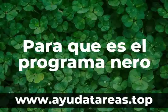 Que es el programa sipare en pd 4 Para que es el programa nero