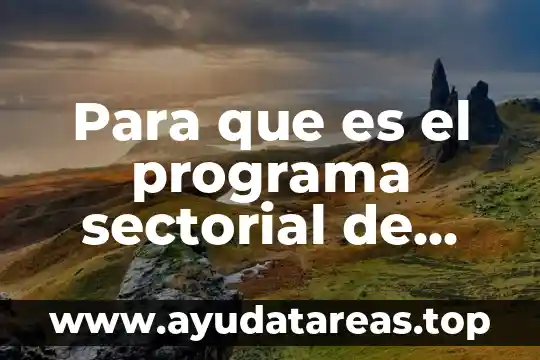 Para que es el programa sectorial de salud