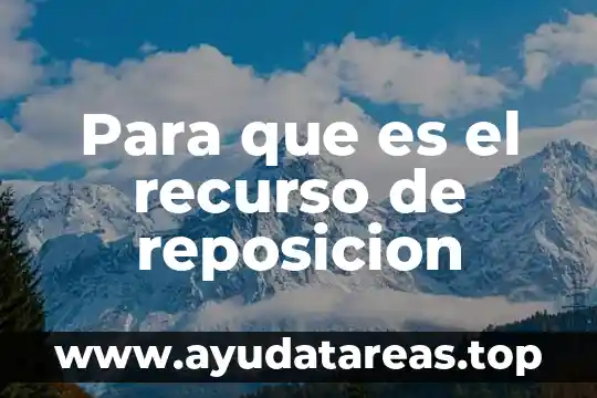Para que es el recurso de reposicion
