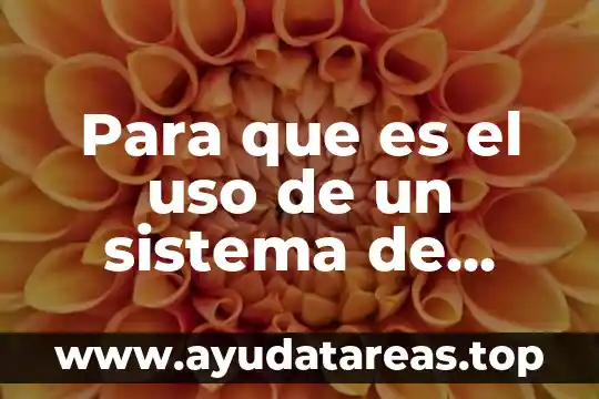 Para que es el uso de un sistema de riego