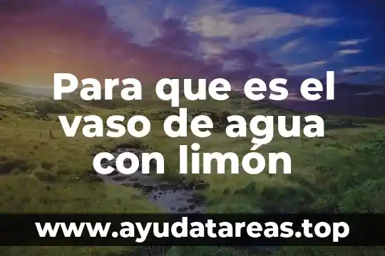 Que es hamamelis agua 6 Para que es el vaso de agua con lim贸n