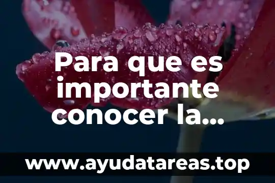 Para que es importante conocer la temperatura