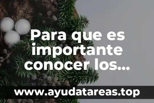 Para que es importante conocer los tipos de texto