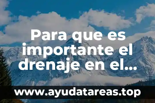 Que es drenaje en el cuerpo 6 Para que es importante el drenaje en el agua