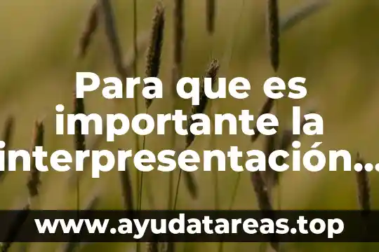 Que es el objeto de la investigacion en una monografia 4 Para que es importante la interpresentación en una investigacion