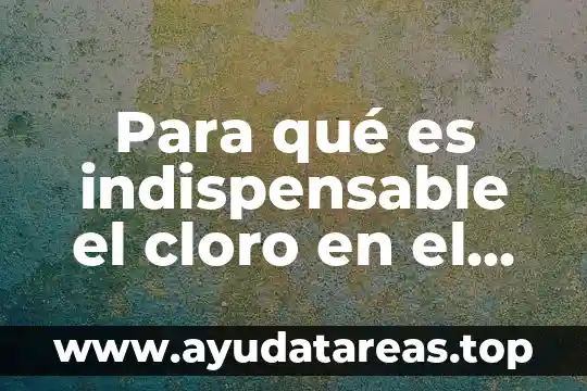 Qué es género y estilo de la música 6 Para qué es indispensable el cloro en el agua